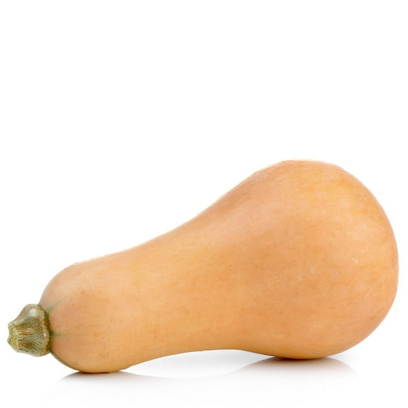Squash, Butternut, Sold in singles, 0.83 - 1.65 KG