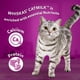 Whiskas Catmilk Boisson pour chats et chatons 200 ml – image 6 sur 8