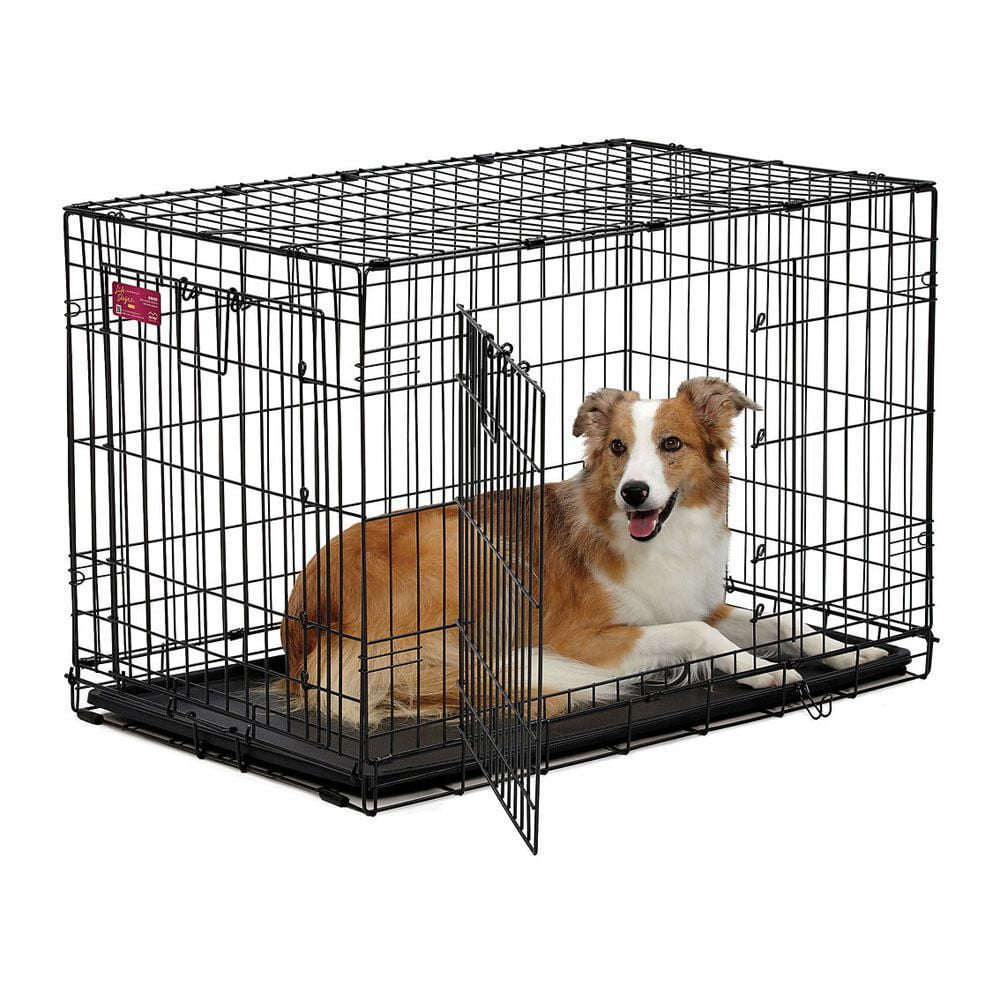 Midwest Homes For Pets Mid West Life Stages A C E Double Door Crate   6000198207387 