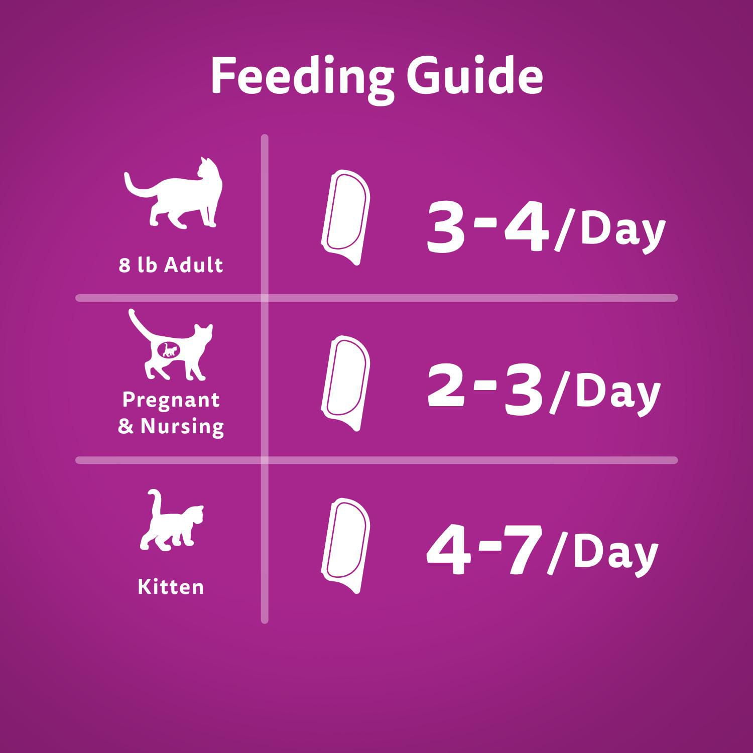 Kitten wet food outlet portion size