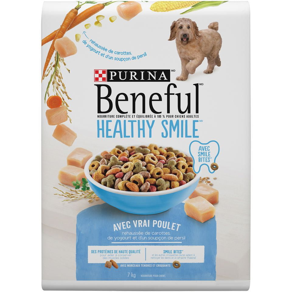 Walmart purina beneful dog sales food