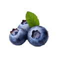 thumbnail image 3 of Bleuets 312g, 3 of 6