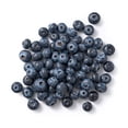 thumbnail image 2 of Bleuets 312g, 2 of 6