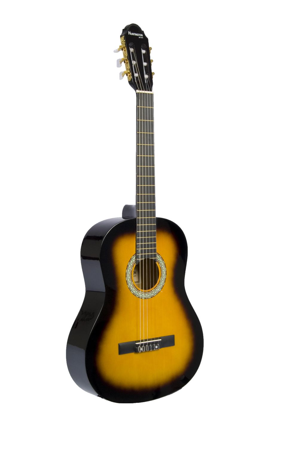 huntington acoustic guitar price