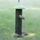 Mangeoire d'oiseaux tubulaire Perky-Pet à parois verticales pour graines de tournesol – image 2 sur 2