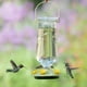 Perky-Pet Desert Bloom Top-Fill Glass Hummingbird Feeder – image 5 sur 9
