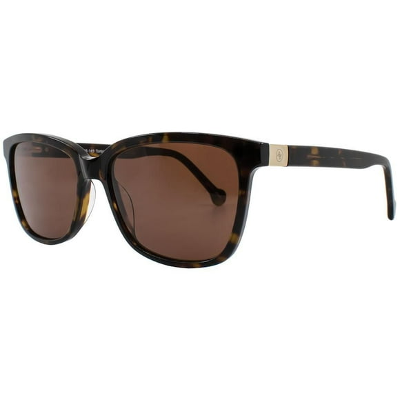 AV Studio Sun AVS142 Écaille Lunettes de Soleil