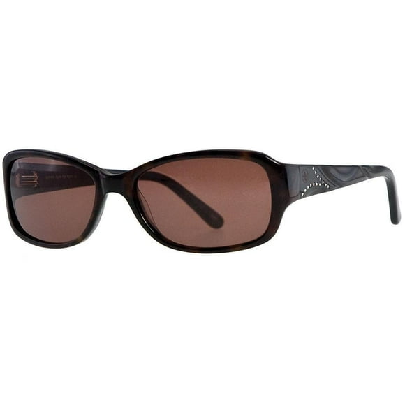 AV Studio Sun AVS106 Écaille Lunettes de Soleil
