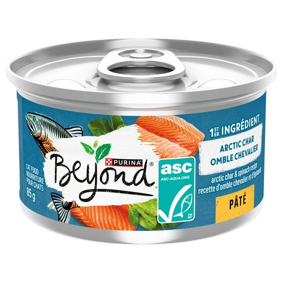 Beyond Arctic Char & Spinach Recipe, Wet Cat Food 85g, 85 g