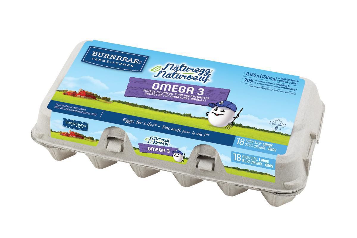 Naturegg 18 Pack Large Omega3 White Eggs Walmart Canada