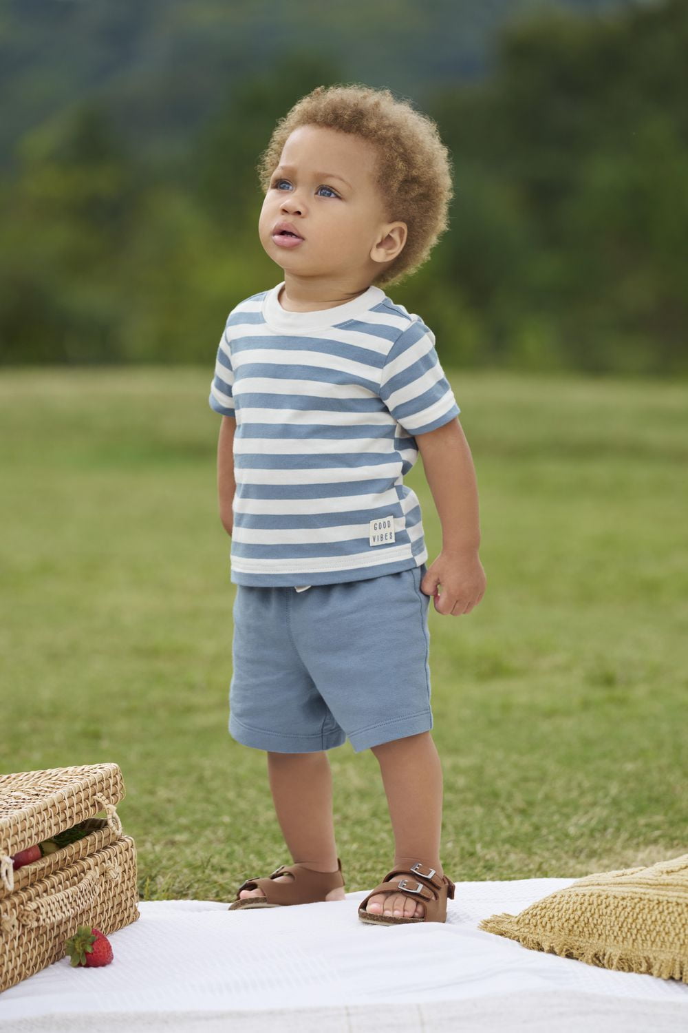 Carter's Child of Mine Baby Boys' Blue Stripe Dino Graphic Diaper Cover Set