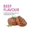 thumbnail image 3 of Fancy Feast Savoury Cravings Beef Flavour, Cat Treats 28 g, 3 of 8