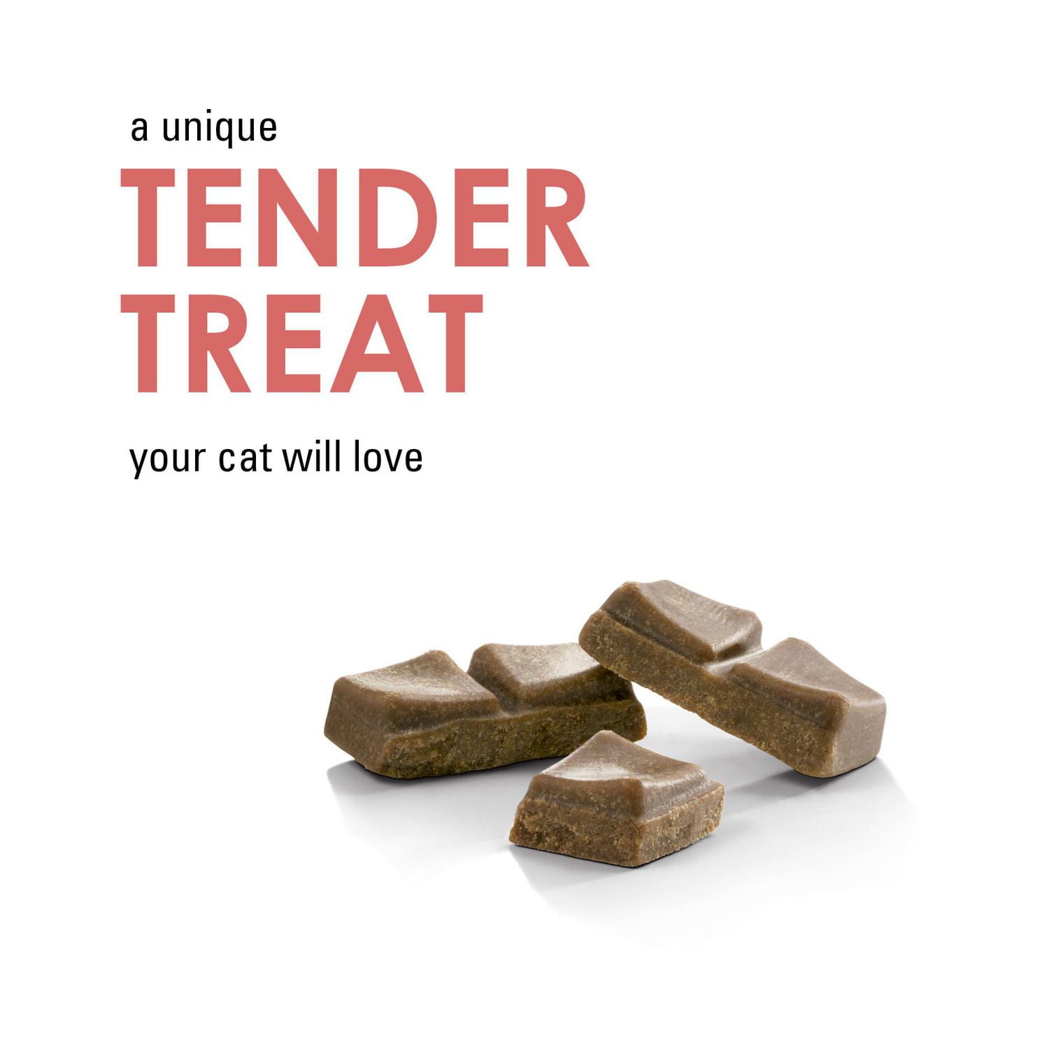 Fancy feast 2024 salmon treats