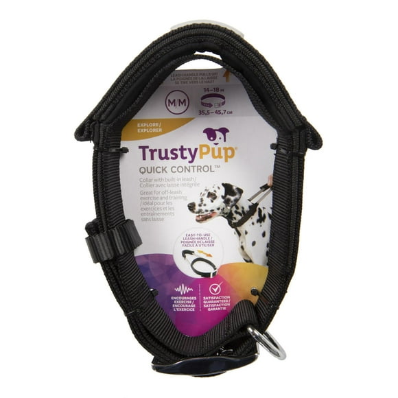 TrustyPup Built in Leash Collar, Large