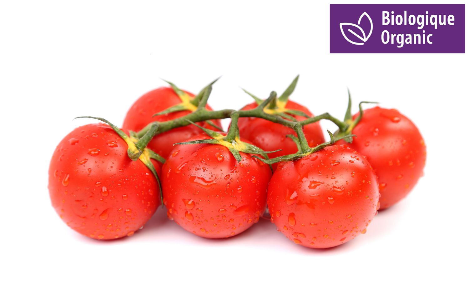 Tomato, Organic Cluster