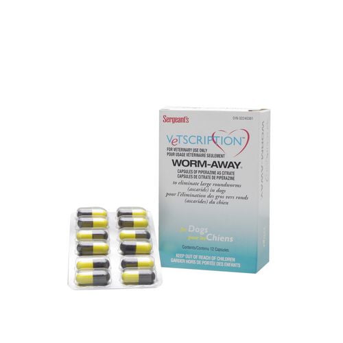 Anti worm medicine for dogs best sale