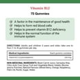 thumbnail image 2 of NATURE'S BOUNTY Vitamin B12, Factor In Maintenance Of Good Health, Helps Form Red Blood Cells, Aids Immune System, Assorted Flavours Of Mixed Berry, Orange & Raspberry 75.0 count, 2 of 6