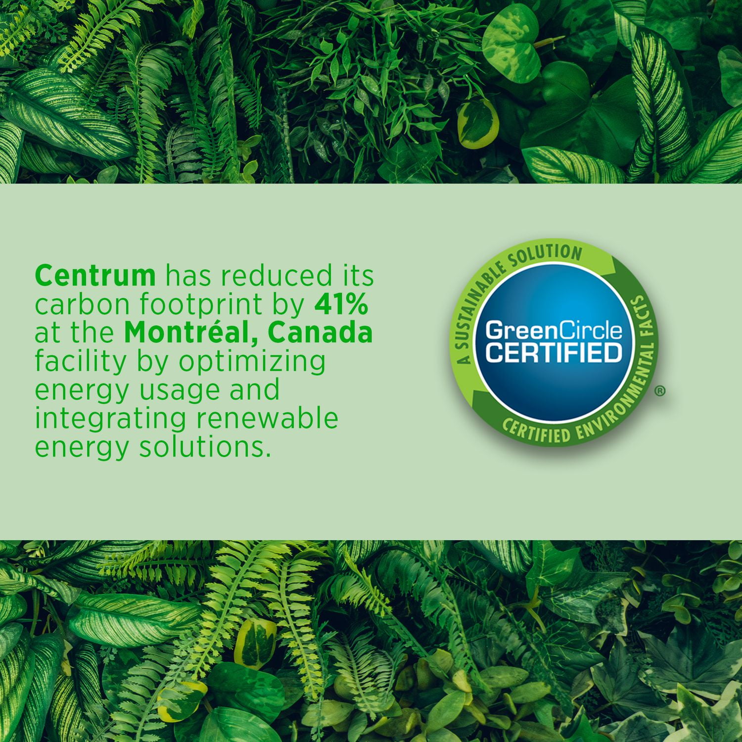 Supplément complet de vitamines et de minéraux multiples ADH et prénatal de Centrum 1 x 60 comprimés prénatals, 1 x 60 capsules ADH