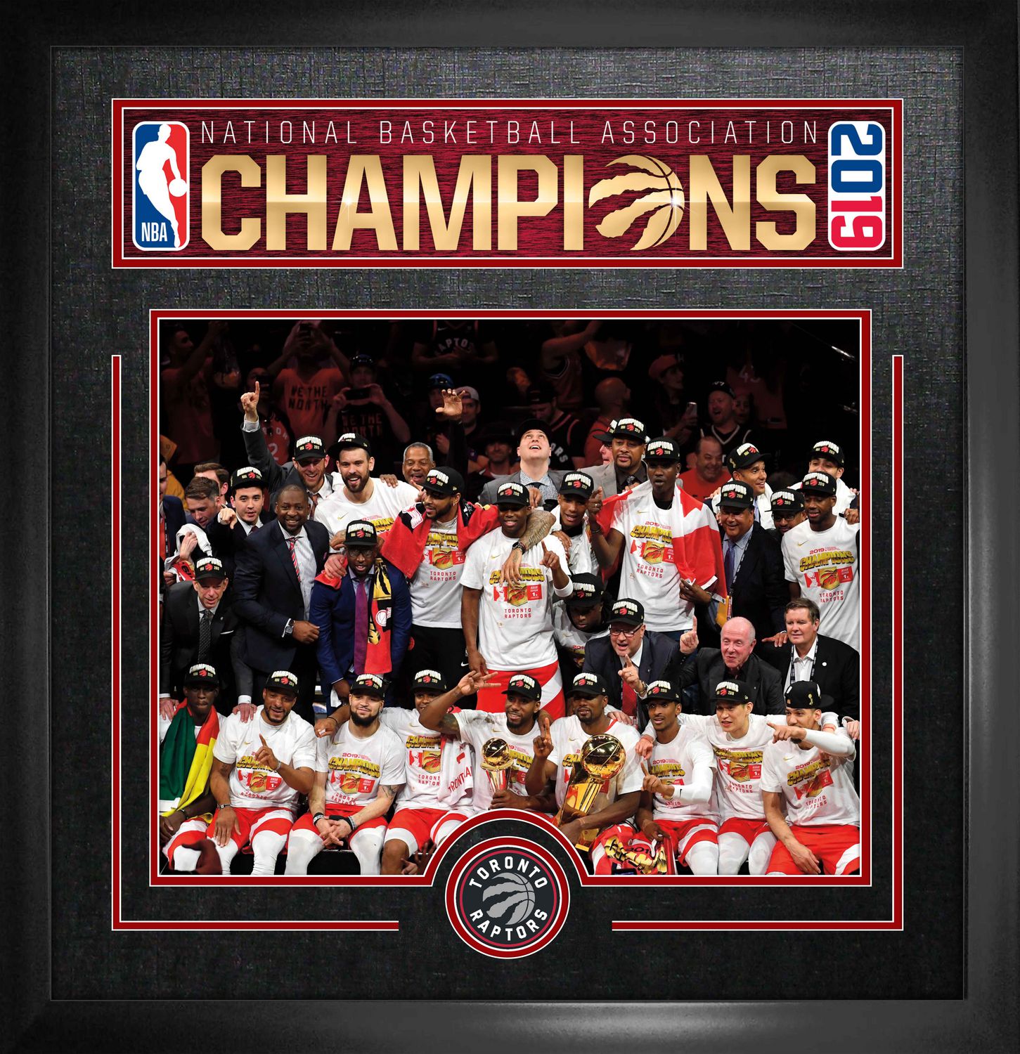 Best Buy: 2019 NBA Champions: Toronto Raptors [Blu-ray/DVD] [2019]