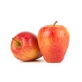 thumbnail image 1 of Apple, Sonya, 1 of 1