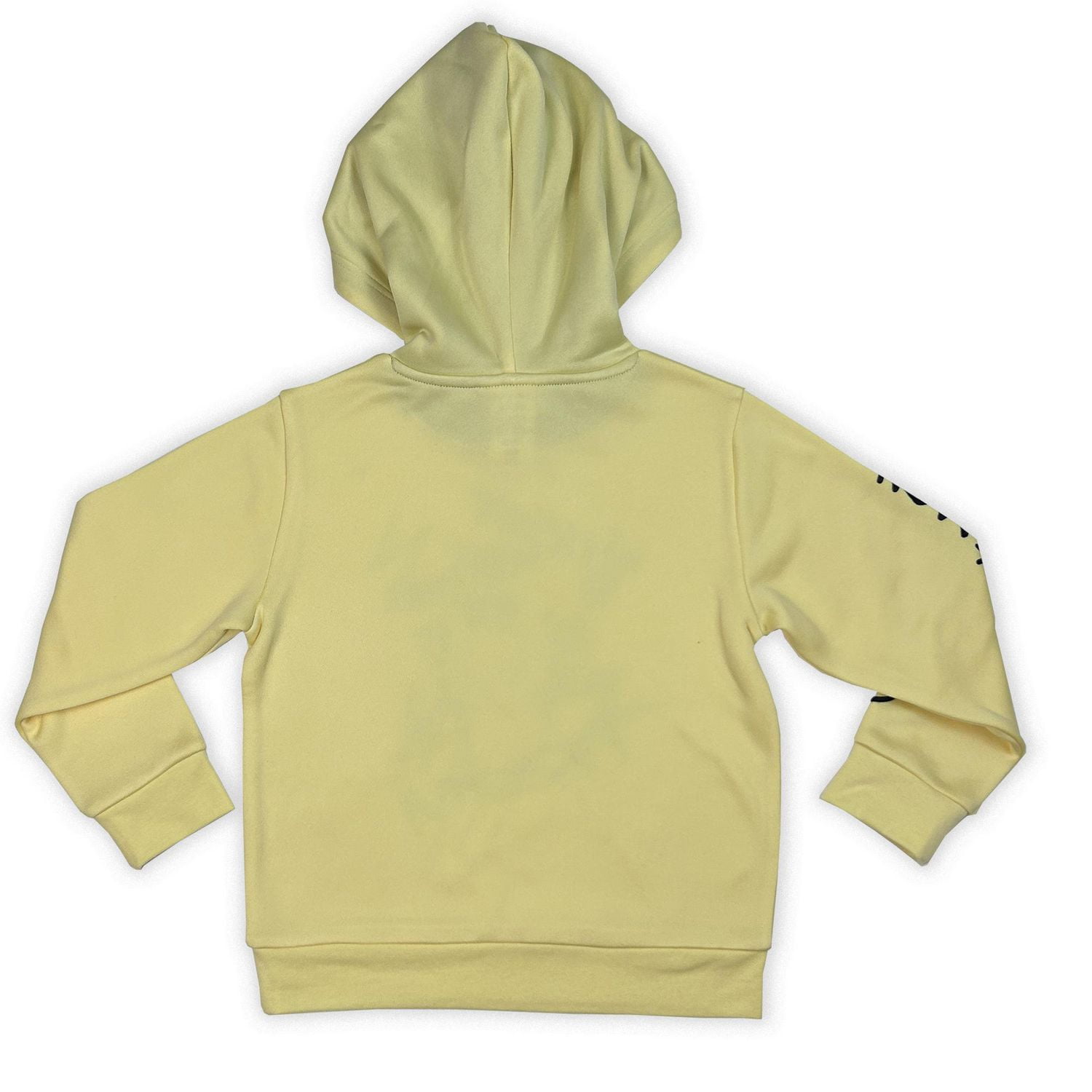 Pokemon Boy's long sleeve popover hoodie