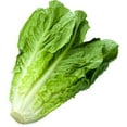 thumbnail image 3 of Lettuce, Romaine, Sold in singles, 3 of 3