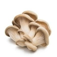 thumbnail image 1 of MUSHROOMS OYSTER, BOX, 1 of 1
