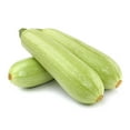 thumbnail image 1 of ZUCCHINI GREY, EACH, 1 of 1