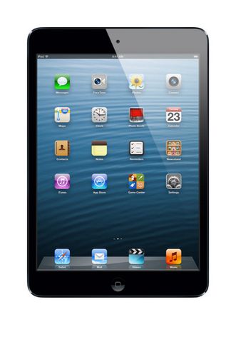 Apple iPad mini, 16GB, Wi-Fi - Black & Slate - Walmart.ca