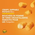 thumbnail image 4 of Tasti Tatersᴹᴰ au fromage cheddar McCain, 4 of 8