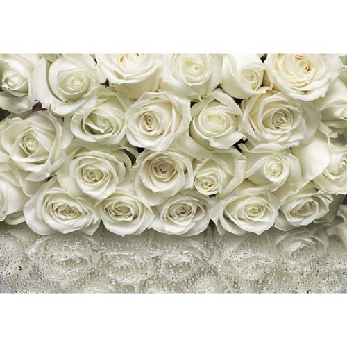 Murale bouquet de roses blanches 12' 1 po x 8' 4 po