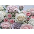 thumbnail image 1 of Blue Mountain Wallcoverings Mural Flowering 12' 1" X 8' 4", 1 of 1