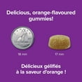 thumbnail image 4 of Webber Naturals Gentle Iron Gummies, 4 of 8