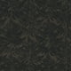 Papier Peint fossile de fougère noir – image 1 sur 1