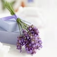 thumbnail image 1 of Perennial Plugs - Lavandula Munstead (3 Plugs), 1 of 5