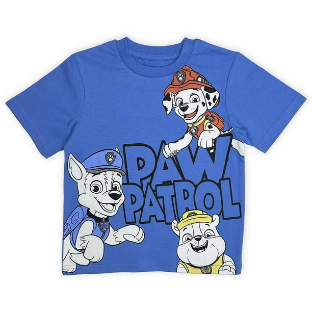 Paw Patrol Toddler boys tee shirt., Sizes 2T to 5T - Walmart.ca