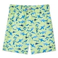 thumbnail image 1 of George Toddler Boys' Swim Short, 1 of 2