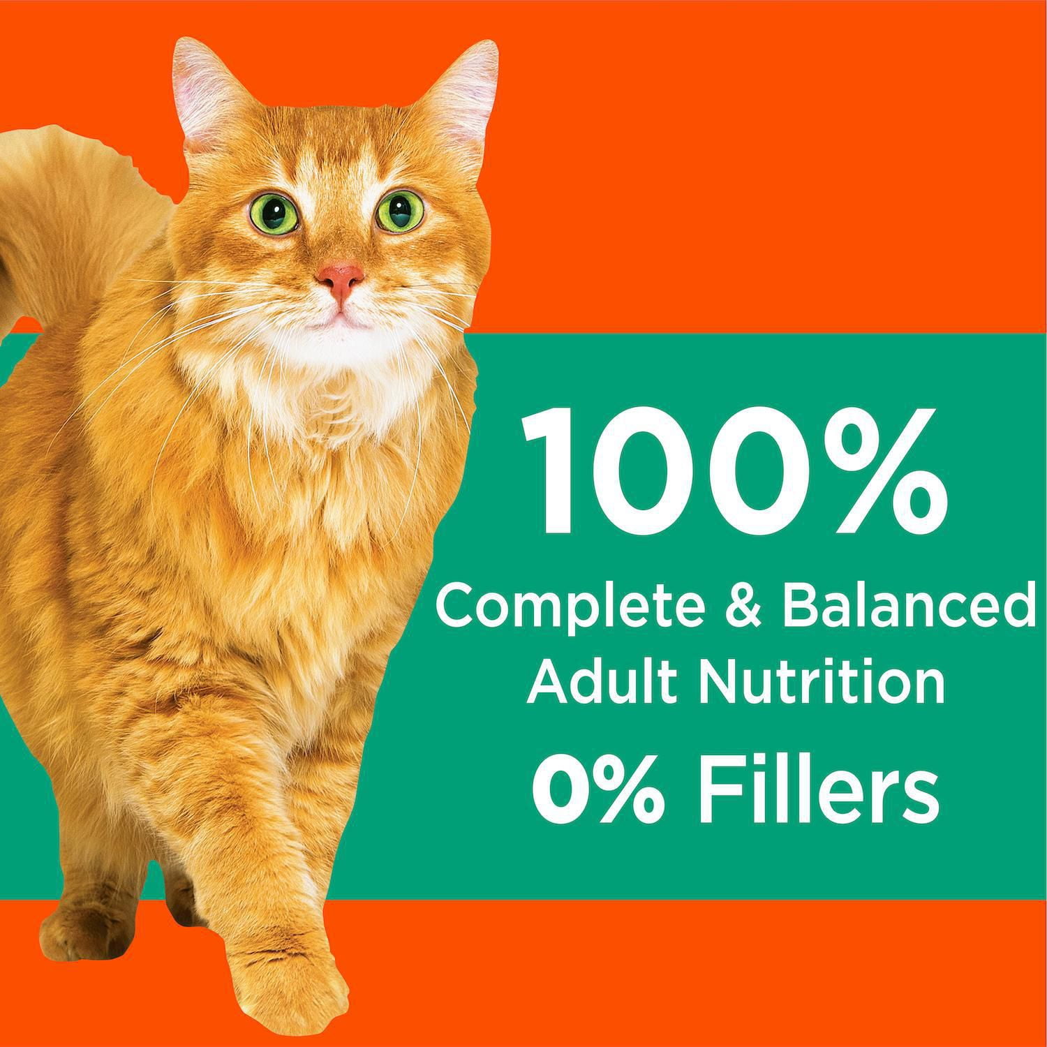 IAMS Proactive Health Adult Hairball Care Dry Cat Food