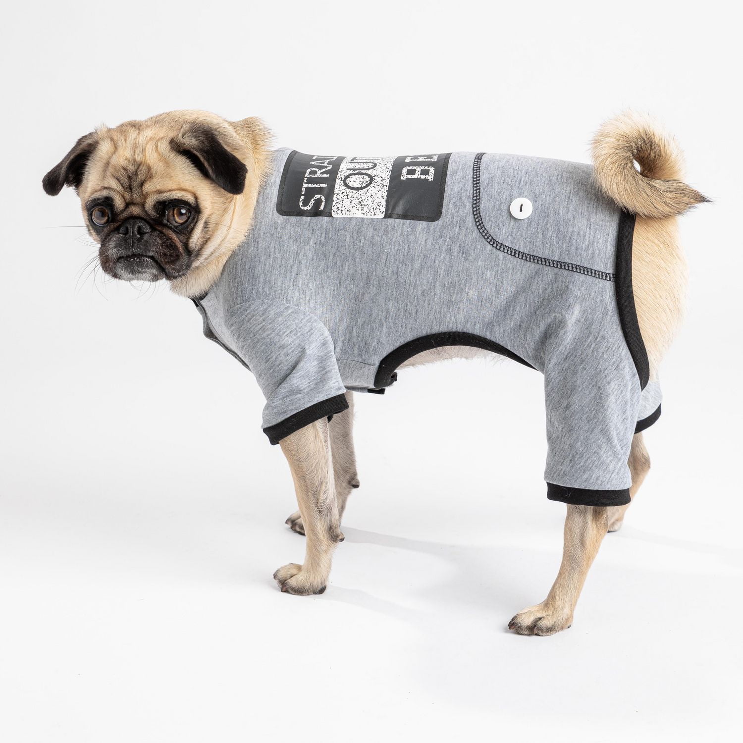 Pmp cheap dog clothes