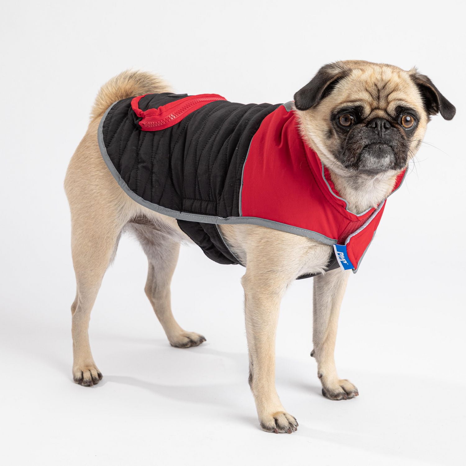 walmart canada dog coats