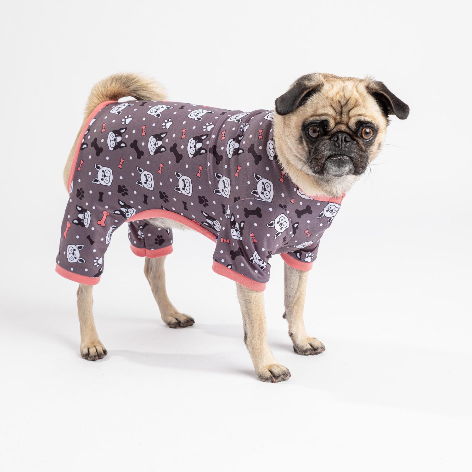 pmp dog clothes
