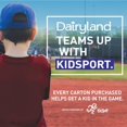 thumbnail image 4 of Dairyland Lactose free 3.25% Homogenized Milk, 4 of 6
