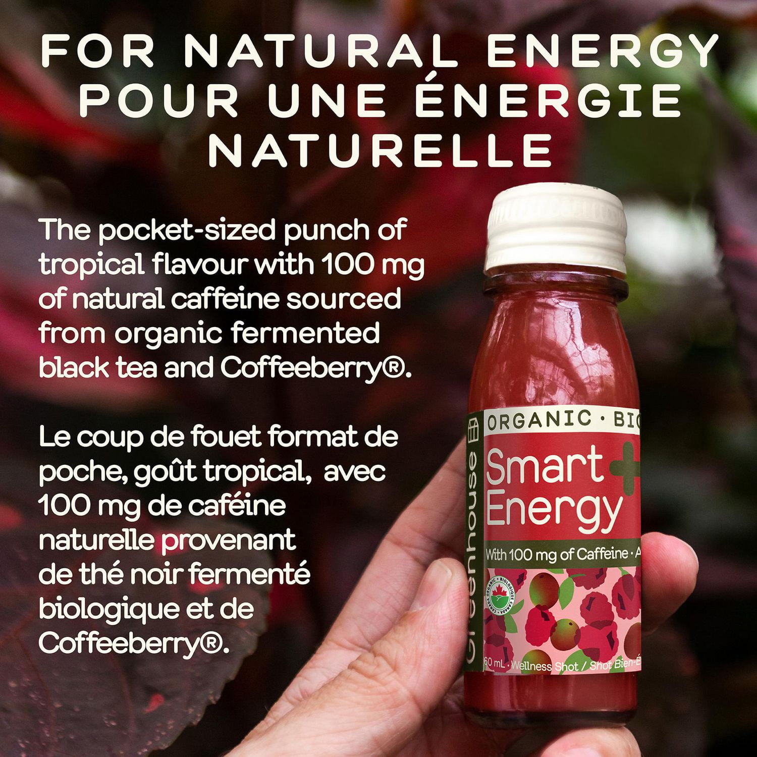 Shot bien-être biologique Smart Energy Greenhouse (paquet de 4)