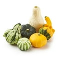 thumbnail image 1 of Ornamental Gourds, Bag of 5, 1 of 1