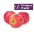 thumbnail image 1 of Dame rose pomme biologiques 2 livres, 1 of 3