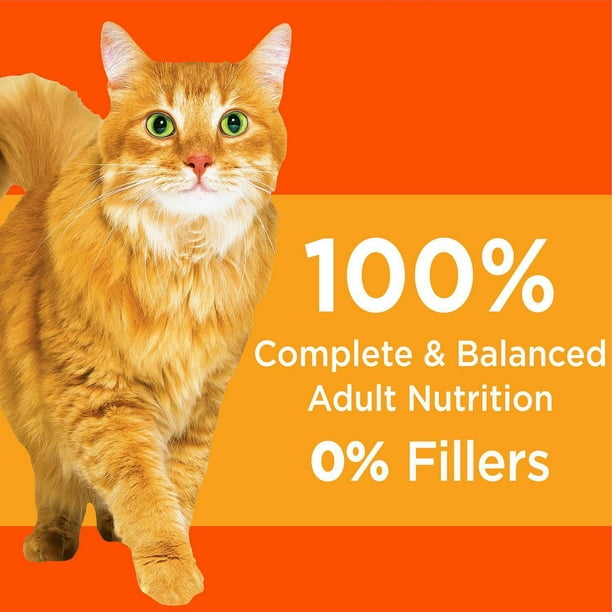 Nourriture sèche pour chats Iams Proactive Health Chat adulte en santé avec  poulet 1,59-7,26 kg 