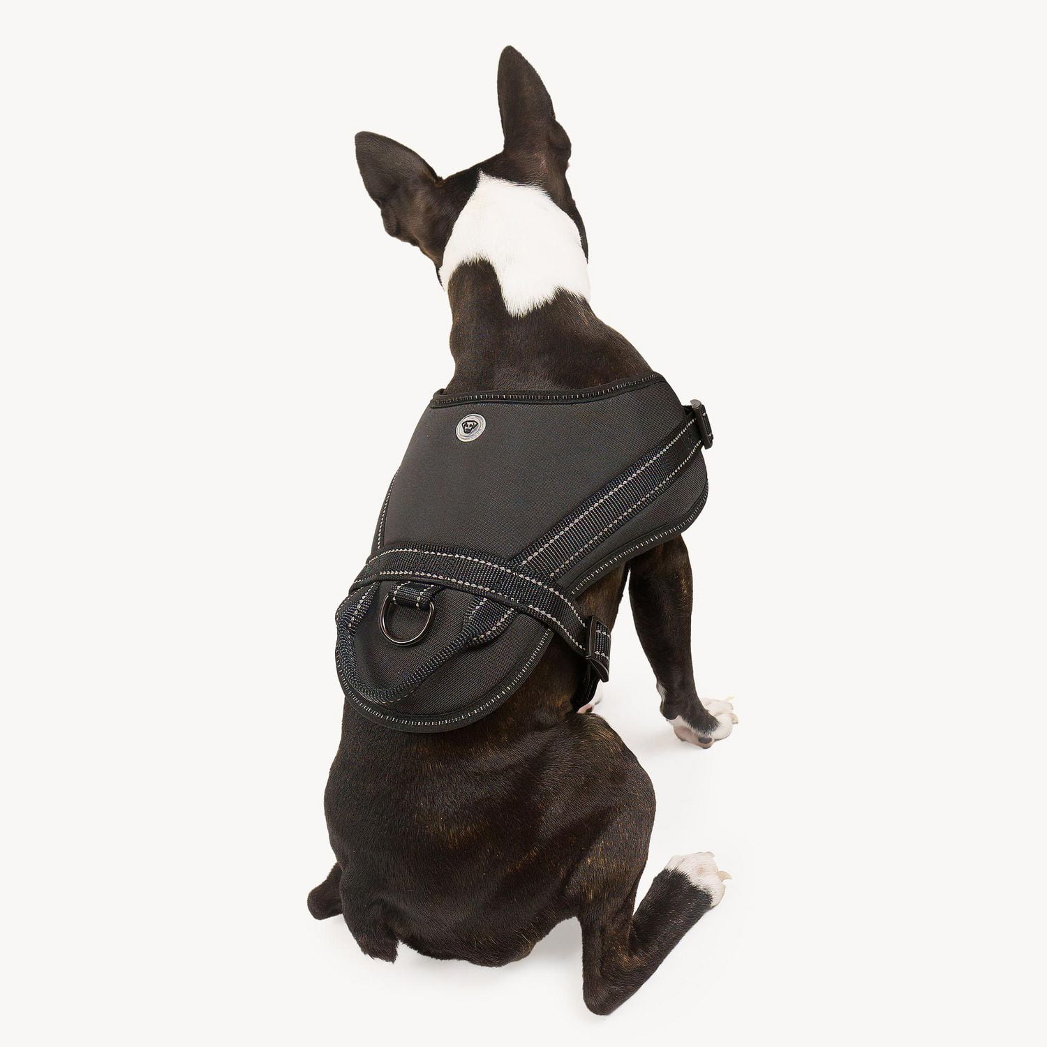 Dog car harness walmart best sale