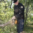 thumbnail image 3 of TOUGH DUCK Men's Traditional Logger Jean, 3 of 3