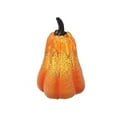 thumbnail image 1 of Led Citrouille (Hauteur) , 1 of 1