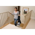 thumbnail image 4 of BISSELL Advanced Readyclean Powerbrush Deep Cleaning System, 4 of 4